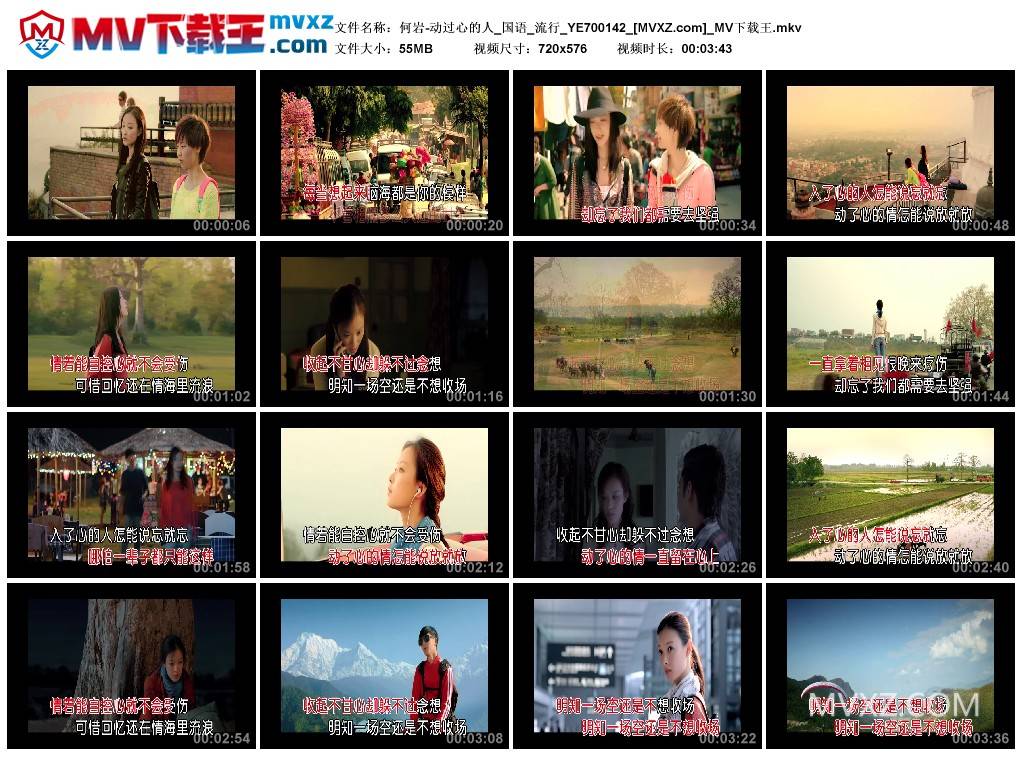 何岩-动过心的人_国语_流行_YE700142